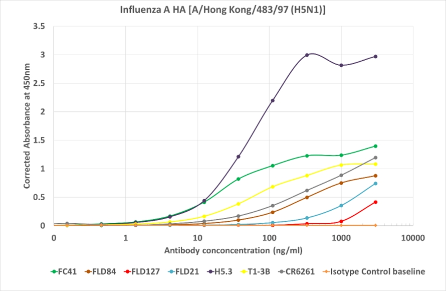抗A型インフルエンザウイルス亜型抗体のELISA測定1